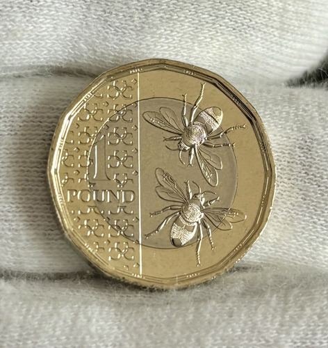 3 Moedas Oficiais De 1 Libra Rainha Elizabeth E Rei Charles