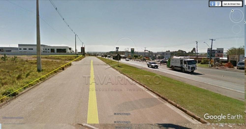 Imagem 7 de 10 de Terrenos - Ref: V1553