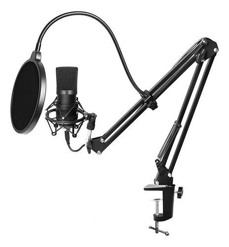 Kit De Microfone De Gravação Com Porta Usb 192 Khz/24 Bits P