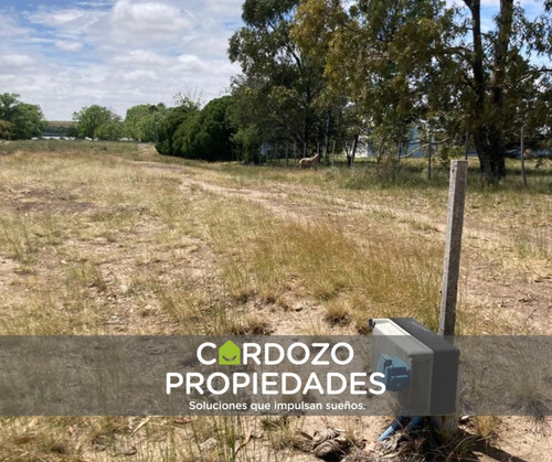 En Venta Parcela De 20.000 M2.