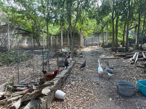 Terreno En Venta En Tuxtla Gutierrez