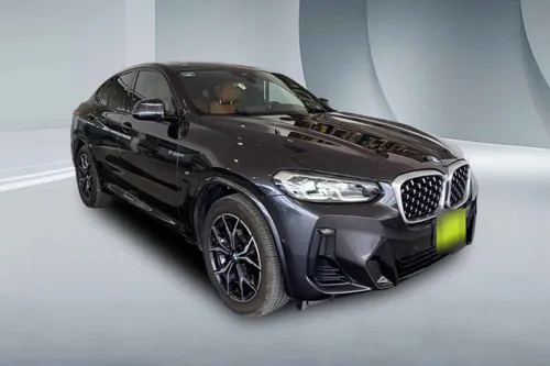 BMW X4 5p xDrive 30i L4/2.0/T Aut