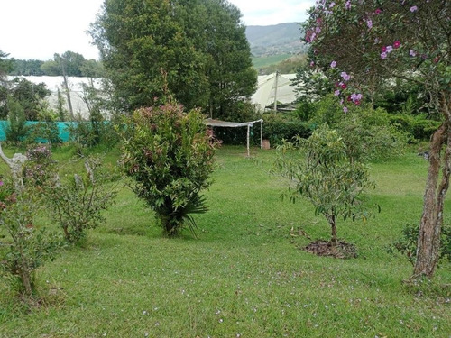 Imagen 7 de 10 de Linda Finca En Venta De Oportunidad El Carmen De Viboral