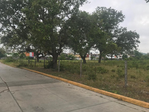 Terreno En Venta En Naranjos En Excelente Ubicación