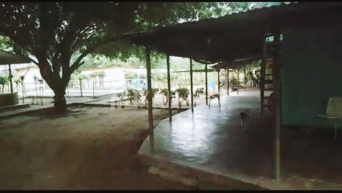 Imagen 5 de 8 de Finca De 13.5 Has En Barinas En Venta
