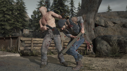 Imagen 5 de 5 de Days Gone - Playstation 4