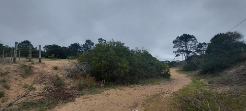 Terreno Muy Alto A La Venta En Punta Del Diablo