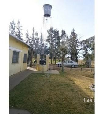 Imagen 1 de 2 de Venta/campo