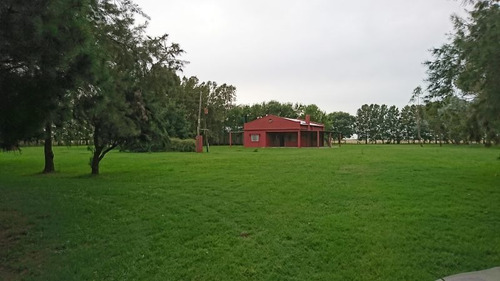 Imagen 2 de 11 de Venta Campo Ganadero Magdalena-pcia De Buenos Aires