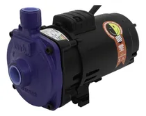 Comprar Bomba Centrífuga Ksb Hydrobloc C750n 0,75 Cv Trif220u002F380v