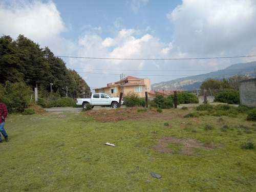 Imagen 2 de 9 de Último Calle Golondrina Tres Marias