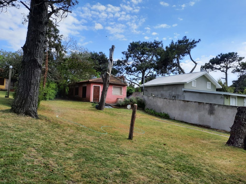 Imagen 9 de 12 de Alquilo Duplex Con Parque Y Parrilla