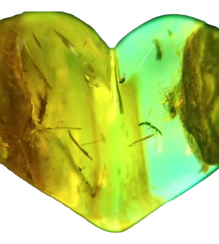 Corazón De Ambar Con Insectos Ambar De Chiapas Termitas Dije