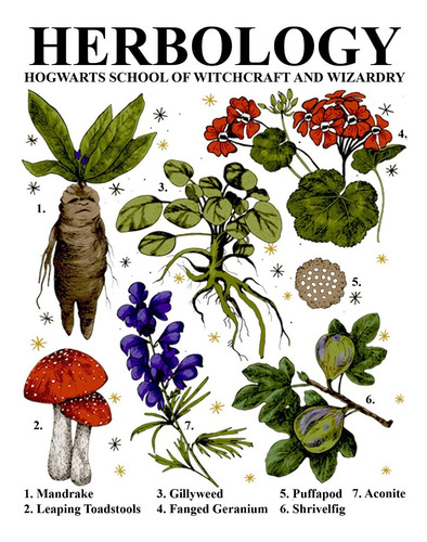 Playera Herbology | Harry Potter | Herbolaria | Potterhead