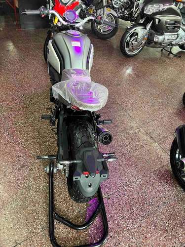 Imagen 17 de 22 de Cf Moto Ceccatto 700 X 2022