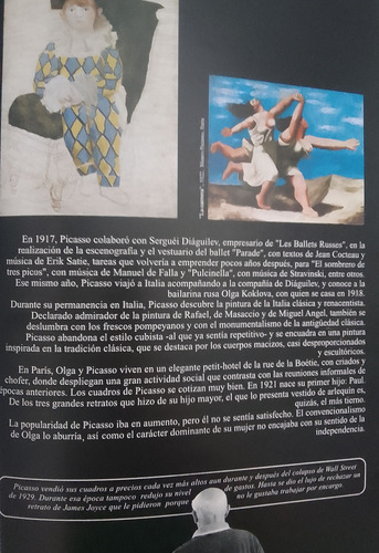 Picasso Para Todos- Vida Y Obra- Fundación Banco Provincia (Usado)