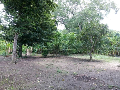 Terrenos En Venta En Ojite Veracruz, Casa Ypalapa