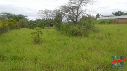 Imagem 5 de 20 de Chácaras_sítios_fazendas Para Venda - 13650.3925