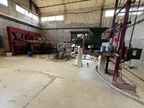 Finca Y Bodega En Venta En Rivadavia