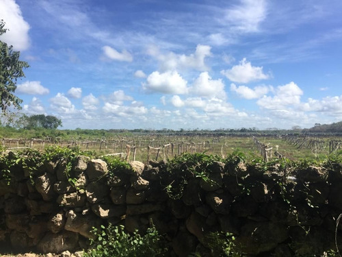 Venta Terrenos De Inversión En Telchac Pueblo