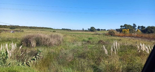 Venta Sauce Ruta 6 Km 44 , 8 Hectáreas, Tajamar