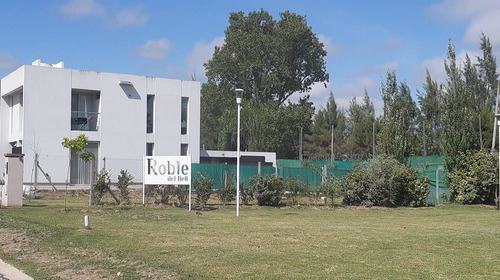 Imagen 4 de 7 de 133 Y 478 - Lotes En Barrio El Roble- Baum Propiedades