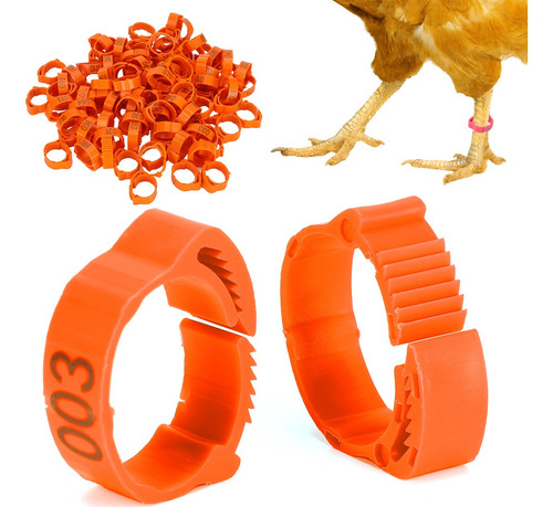 Imagen 10 de 10 de Letrero Con Forma De Pata De Pájaro Con Forma De Gallina, 10
