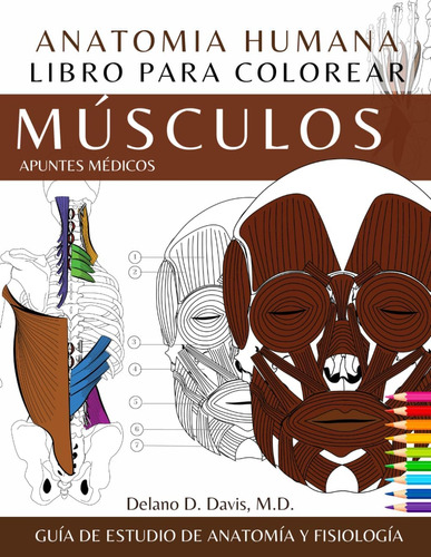 Libro: Libro Para Colorear De Anatomía Humana: Músculos: Guí