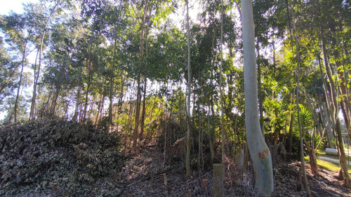Imagen 12 de 24 de Terreno En Venta En Balneario Buenos Aires