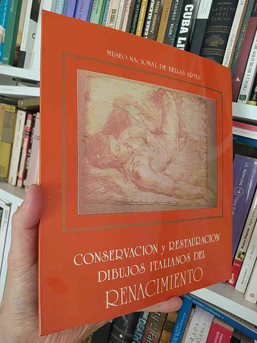 Conservacion Y Restauración Dibujos Italianos Del Renacimien