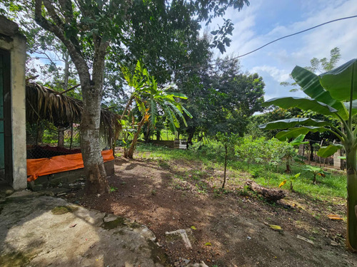 Se Vende Terreno Con Casa En La Piña De Jaya, 2,500 M2 S.f.m
