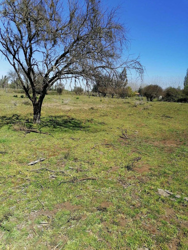 Se Vende Terreno En Bulnes