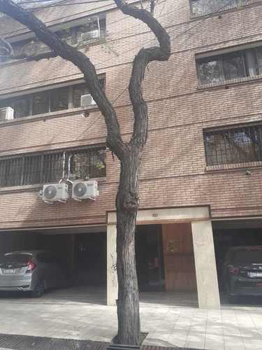 Imagen 1 de 6 de Departamento En Pasaje Lemos