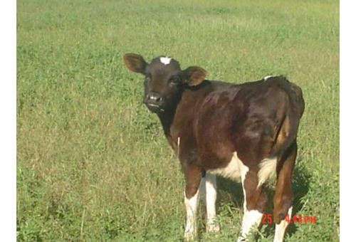 En Venta Campo De 15ha. Ideal Desarrollo