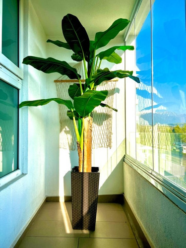 Planta Artificial Banano 180 Cm. Premium / Arbusto Real