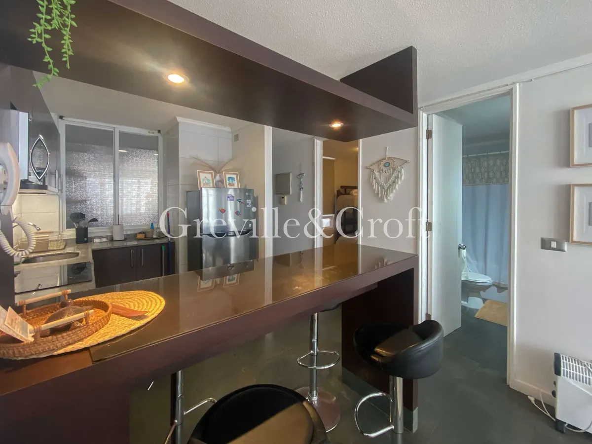 Imagen 4 de 25 de Se Vende Departamento 1ª Linea, Avda Del Mar (173491)