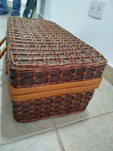 Juego De Picnic Con Utensilios (Usado)