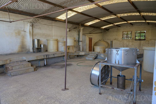 Imagen 5 de 15 de Nave Industrial Con Oficinas - Villa Martelli