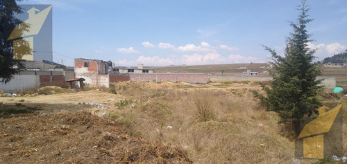 Terreno En Venta O Renta Sobre Carretera Zitacuaro-zinancatepec Edo Mex