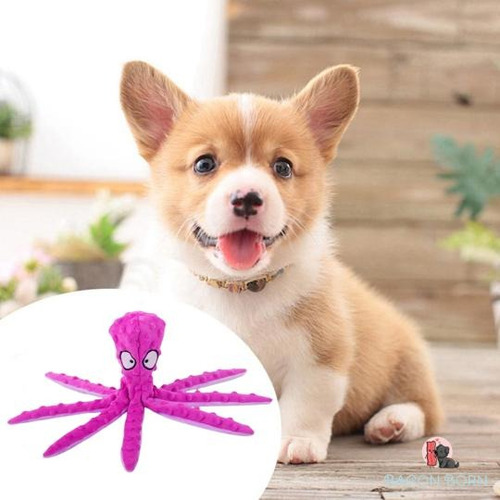 Brinquedo Pet Bicho Pelúcia Para Cães Polvo Amigo Octoplus