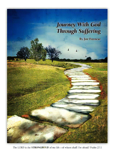 Journey With God Through Suffering, De Fornear, Joe. Editorial Stronghold Pr, Tapa Blanda En Inglés