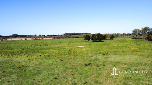 Alquiler De Campo De 10 Has. En Los Cardales