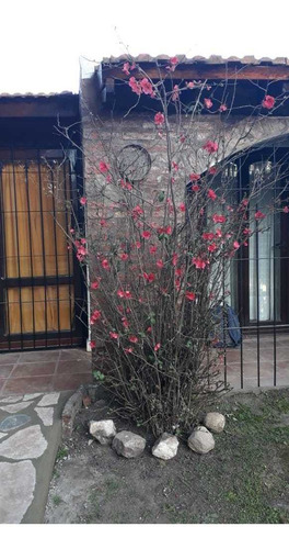 Imagen 7 de 14 de Bajo El Precio De Venta !!! De Casaquinta En Ezeiza