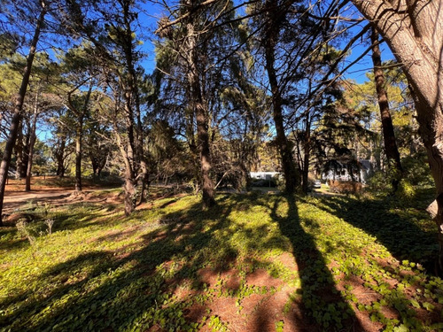 Imagen 10 de 16 de Lote En Carilo Hornero Y Paraíso