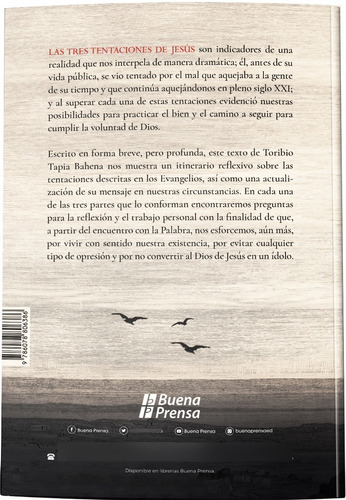No Nos Dejes Caer En La Tentacion: Reflexiones Biblicas Sob