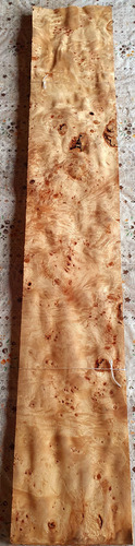 Lâmina De Pioppo Rádica Natural Natural