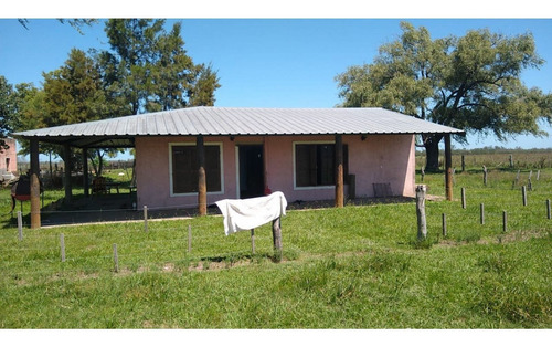 Imagen 27 de 30 de Oportunidad Para Ganadería Y Siembra, A Solo 1h 30m De Rosario