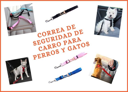 Correa Cinturón De Seguridad De Carro Para Perros Y Gatos