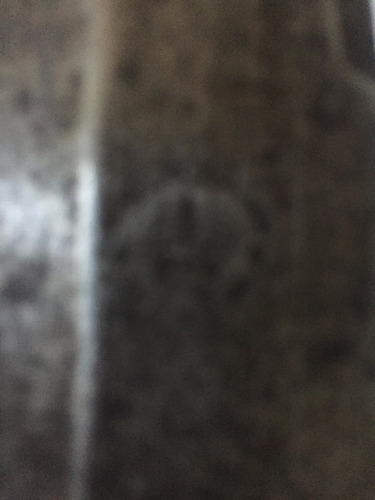 Imagen 5 de 6 de Tijera De Esquilar Inglesa Ideal Usó O Hoja Para Cuchillos