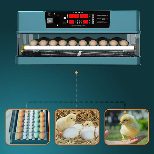 Incubadora De Ovos Máquina Incubadora 48 Ovos Poder Único